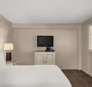 Dauphine Orleans Hotel hotel detail image 7