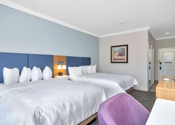 Hampton Inn & Suites Fort Worth-Fossil Creek hotel thumbnail 6