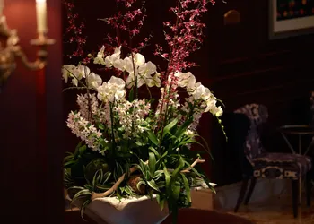 Omni San Francisco Hotel hotel thumbnail 2