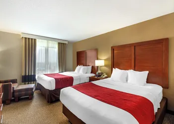 Comfort Inn & Suites Rapid City South - Mt. Rushmore Gateway hotel thumbnail 4