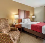 Comfort Inn & Suites Rapid City South - Mt. Rushmore Gateway hotel detail image 5