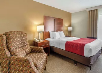 Comfort Inn & Suites Rapid City South - Mt. Rushmore Gateway hotel thumbnail 5