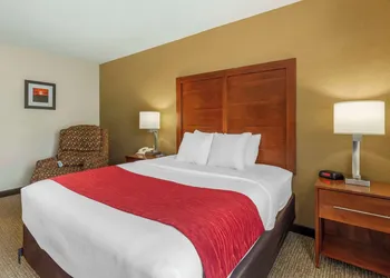 Comfort Inn & Suites Rapid City South - Mt. Rushmore Gateway hotel thumbnail 6