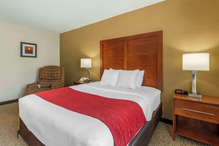 Comfort Inn & Suites Rapid City South - Mt. Rushmore Gateway hotel detail image 6