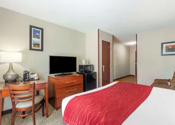 Comfort Inn & Suites Rapid City South - Mt. Rushmore Gateway hotel thumbnail 7