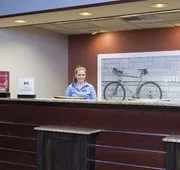 Hampton Inn Mt. Pleasant hotel detail image 3