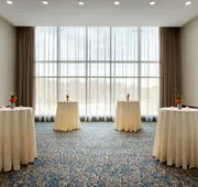 Embassy Suites by Hilton Boston Waltham hotel detail image 5