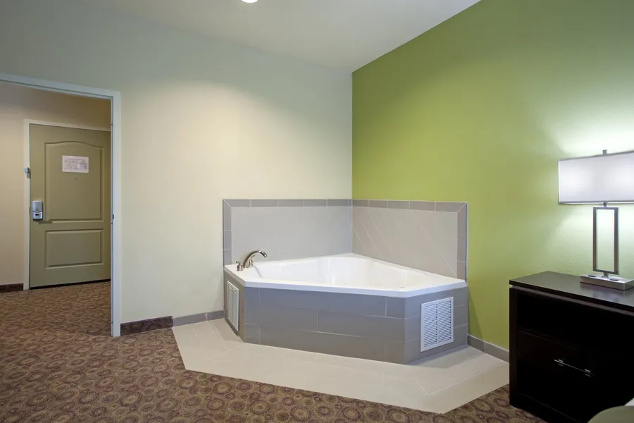 Holiday Inn Express & Suites Clemson by IHG hotel detail image 6