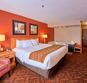Comfort Inn & Suites and Conference Center hotel detail image 7