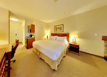 Holiday Inn Express & Suites Edmonton International Airport by IHG hotel thumbnail 7