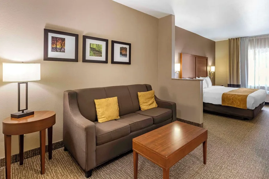 Comfort Suites Coralville I-80 hotel detail image 6
