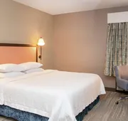Hampton Inn & Suites Rochester/Victor hotel detail image 7