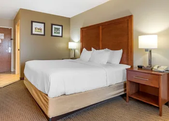 Comfort Inn & Suites Black River Falls I-94 hotel thumbnail 8