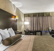 Quality Hotel & Conference Centre hotel detail image 7