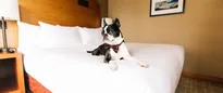 Hotel thumbnail 3