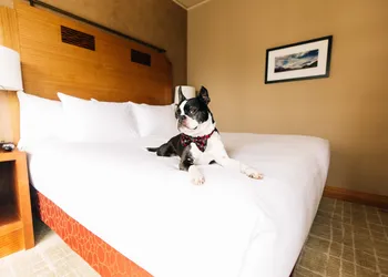 Grand Hyatt Seattle hotel thumbnail 3