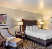 Best Western Plus Royal Oak Hotel hotel detail image 5