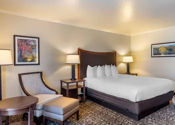 Best Western Plus Royal Oak Hotel hotel thumbnail 5