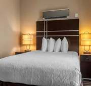 Best Western Plus North Odessa Inn & Suites hotel detail image 7
