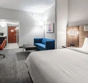Holiday Inn Express & Suites Orange City - Deltona by IHG hotel detail image 5