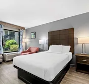 SureStay Plus Hotel by Best Western Southern Pines Pinehurst hotel detail image 4