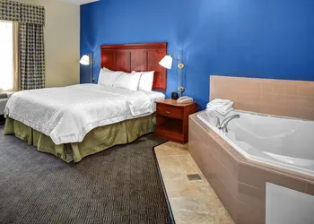 Hampton Inn Coldwater hotel thumbnail 5