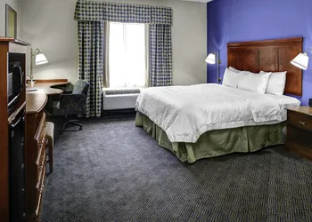 Hampton Inn Coldwater hotel thumbnail 8