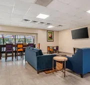 Comfort Inn & Suites Clemson - University Area hotel detail image 5
