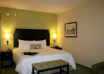 Hampton Inn Alpine hotel thumbnail 3