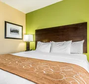 Comfort Suites Jackson I-40 hotel detail image 7