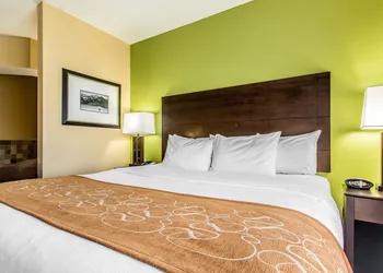 Comfort Suites Jackson I-40 hotel thumbnail 7