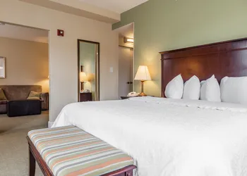 Hampton Inn & Suites Birmingham-Downtown-Tutwiler hotel thumbnail 8