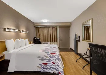Red Roof Inn Asheville - Biltmore West hotel thumbnail 7