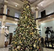 Menger Hotel hotel detail image 4