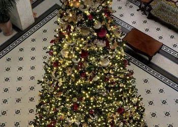 Menger Hotel hotel thumbnail 6