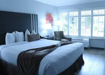 Palm Garden Hotel hotel thumbnail 8