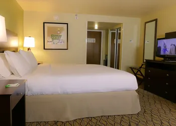 Holiday Inn Fort Myers - Downtown Area by IHG hotel thumbnail 4