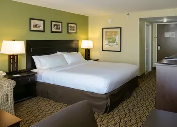 Holiday Inn Fort Myers - Downtown Area by IHG hotel thumbnail 6