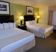 Holiday Inn Fort Myers - Downtown Area by IHG hotel detail image 7