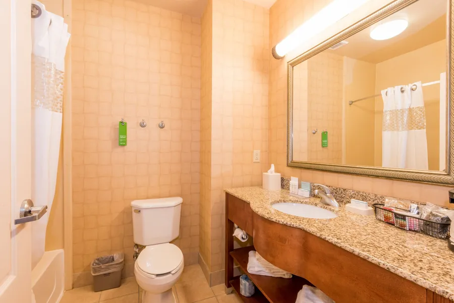 Hampton Inn Enterprise hotel detail image 6