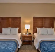 Comfort Inn Apalachin / Binghamton W Route 17 hotel detail image 3