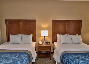 Comfort Inn Apalachin / Binghamton W Route 17 hotel thumbnail 3