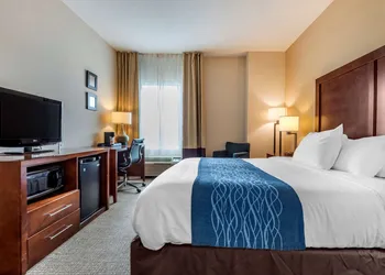 Comfort Inn Apalachin / Binghamton W Route 17 hotel thumbnail 7