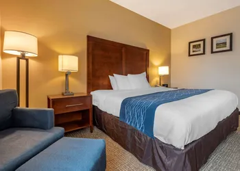 Comfort Inn Apalachin / Binghamton W Route 17 hotel thumbnail 8