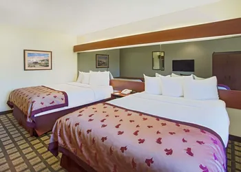 Microtel Inn & Suites by Wyndham Holland hotel thumbnail 3