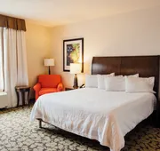Hilton Garden Inn Auburn hotel detail image 7