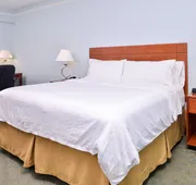 Holiday Inn Express Tampa N I-75 - University Area by IHG hotel detail image 7