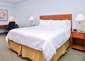 Holiday Inn Express Tampa N I-75 - University Area by IHG hotel thumbnail 7