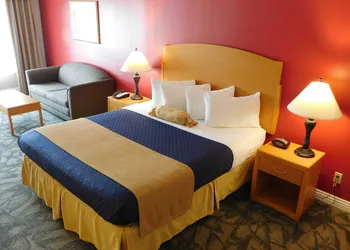 City Express by Marriott Placentia Anaheim hotel thumbnail 4