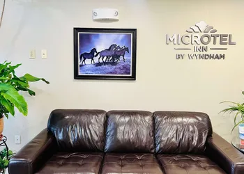 Microtel Inn by Wyndham Georgetown hotel thumbnail 2